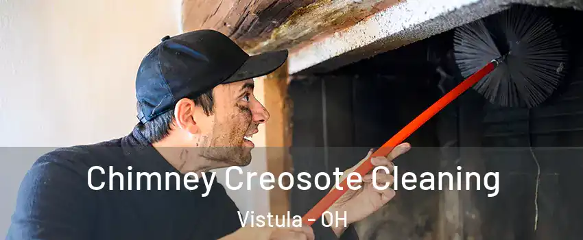 Chimney Creosote Cleaning Vistula - OH