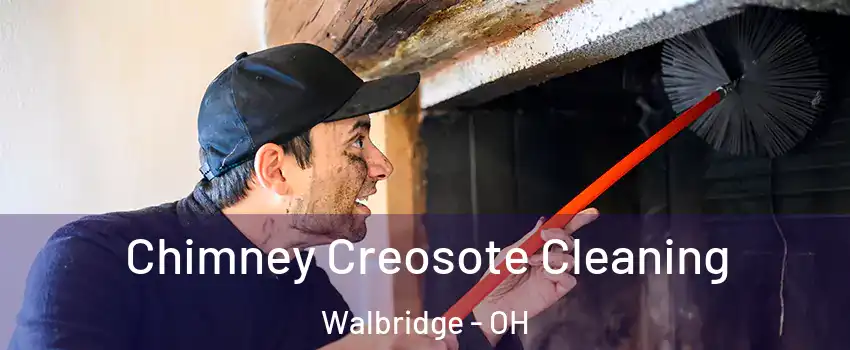 Chimney Creosote Cleaning Walbridge - OH