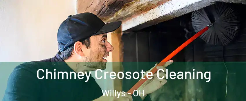 Chimney Creosote Cleaning Willys - OH