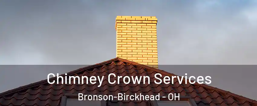 Chimney Crown Services Bronson-Birckhead - OH