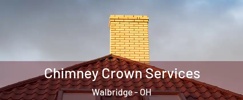 Chimney Crown Services Walbridge - OH