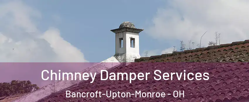 Chimney Damper Services Bancroft-Upton-Monroe - OH