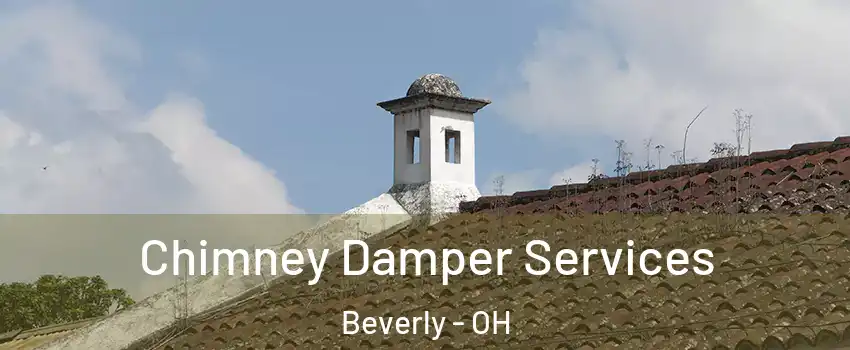 Chimney Damper Services Beverly - OH