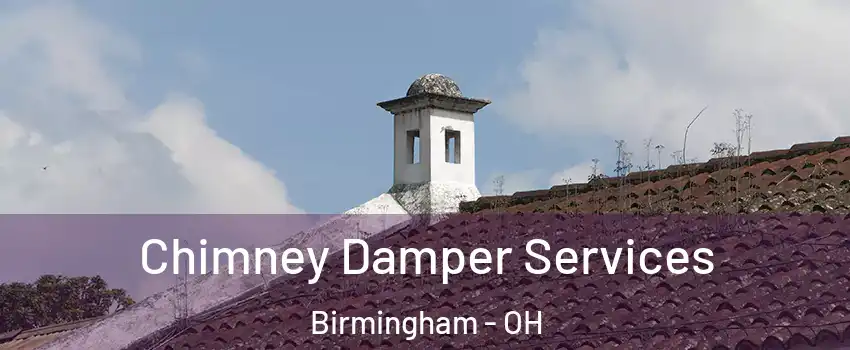 Chimney Damper Services Birmingham - OH