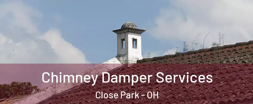 Chimney Damper Services Close Park - OH