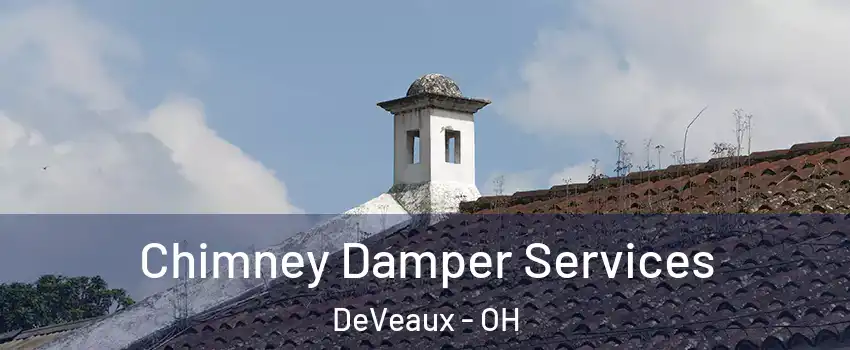 Chimney Damper Services DeVeaux - OH