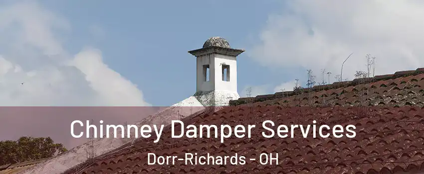 Chimney Damper Services Dorr-Richards - OH