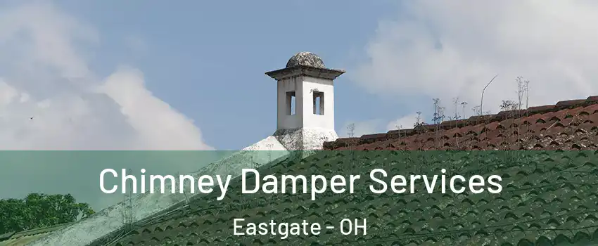 Chimney Damper Services Eastgate - OH