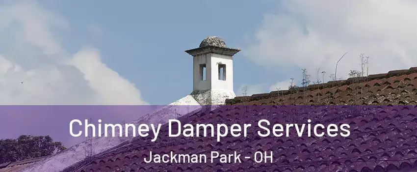 Chimney Damper Services Jackman Park - OH