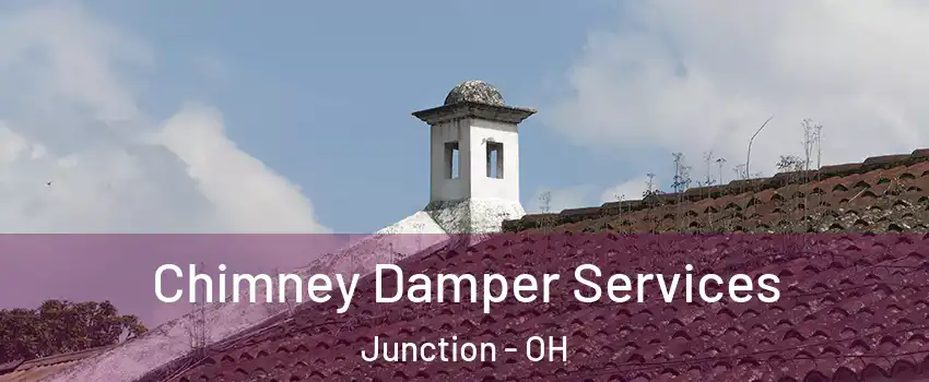 Chimney Damper Services Junction - OH