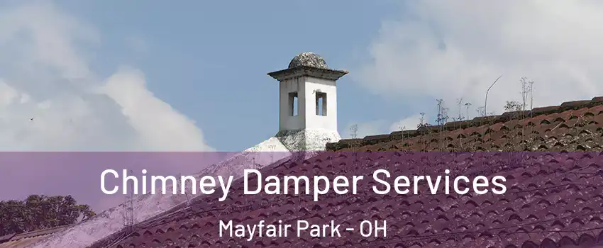 Chimney Damper Services Mayfair Park - OH