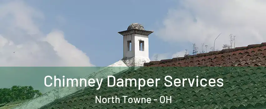 Chimney Damper Services North Towne - OH