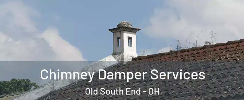 Chimney Damper Services Old South End - OH