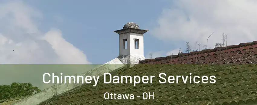 Chimney Damper Services Ottawa - OH