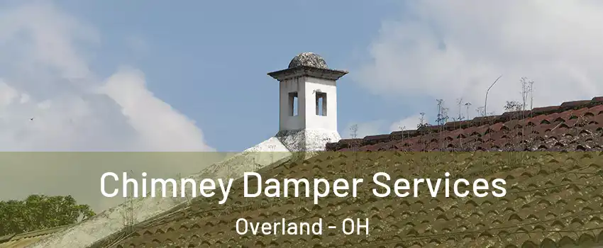 Chimney Damper Services Overland - OH