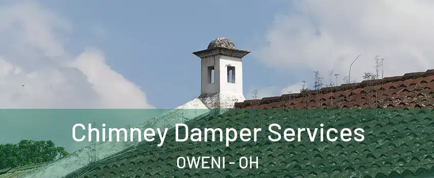 Chimney Damper Services OWENI - OH