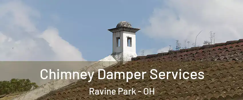 Chimney Damper Services Ravine Park - OH