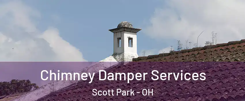 Chimney Damper Services Scott Park - OH