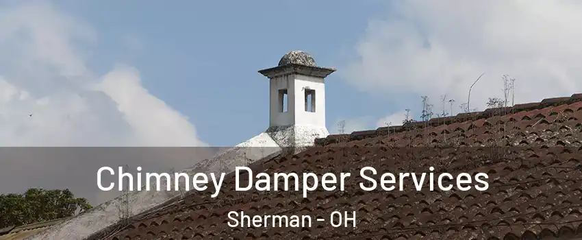 Chimney Damper Services Sherman - OH