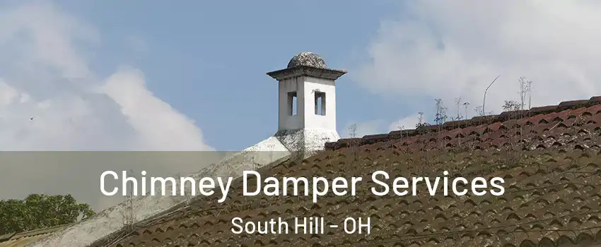 Chimney Damper Services South Hill - OH
