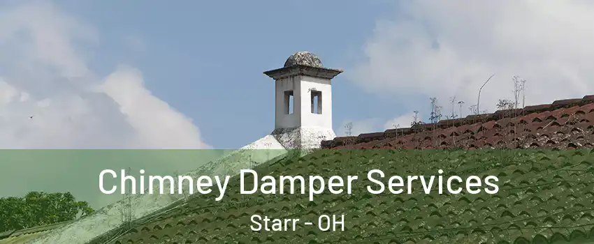 Chimney Damper Services Starr - OH