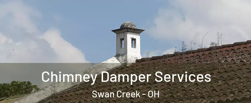 Chimney Damper Services Swan Creek - OH