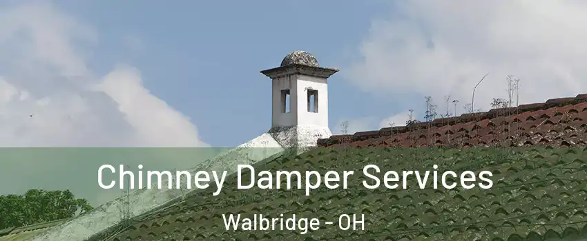 Chimney Damper Services Walbridge - OH