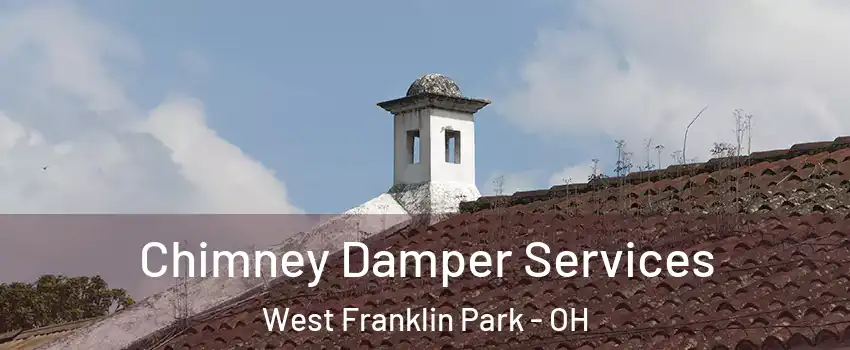 Chimney Damper Services West Franklin Park - OH