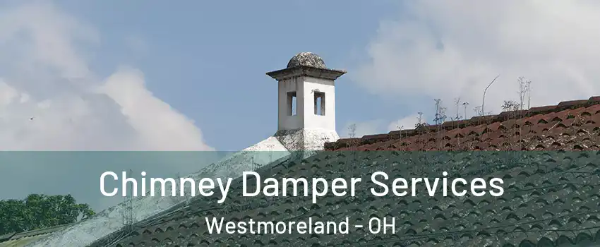 Chimney Damper Services Westmoreland - OH
