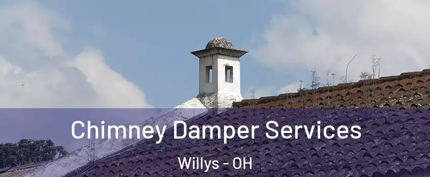 Chimney Damper Services Willys - OH