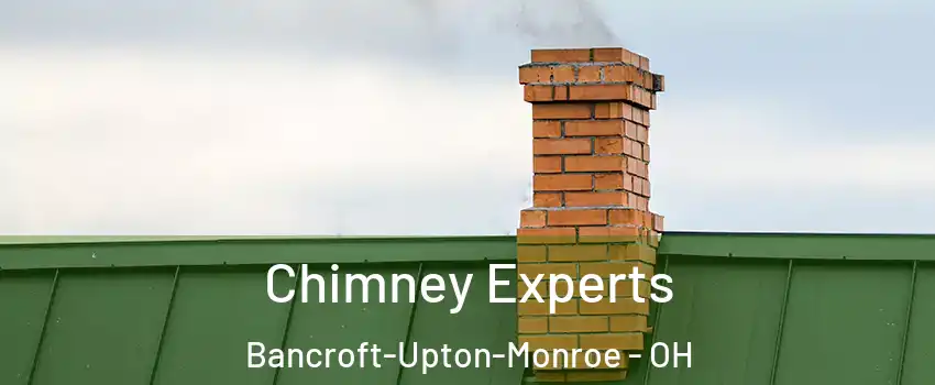 Chimney Experts Bancroft-Upton-Monroe - OH