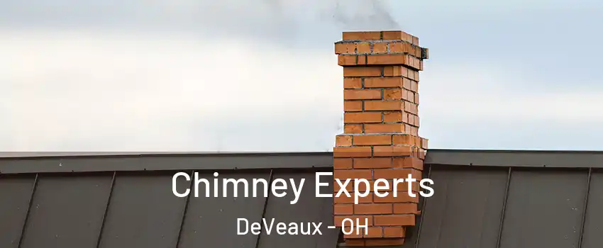 Chimney Experts DeVeaux - OH