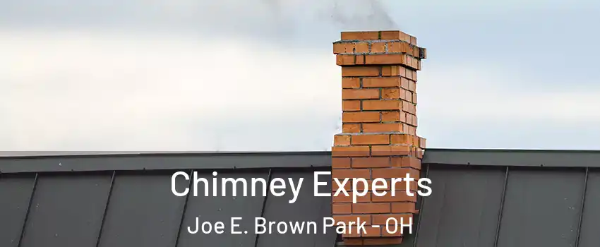 Chimney Experts Joe E. Brown Park - OH