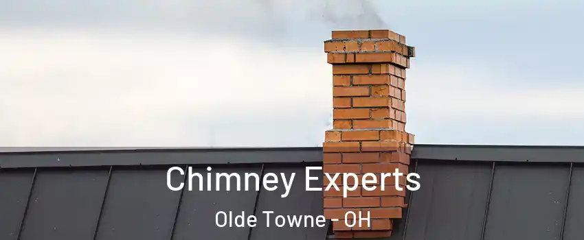 Chimney Experts Olde Towne - OH