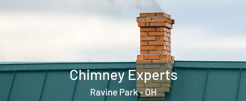 Chimney Experts Ravine Park - OH