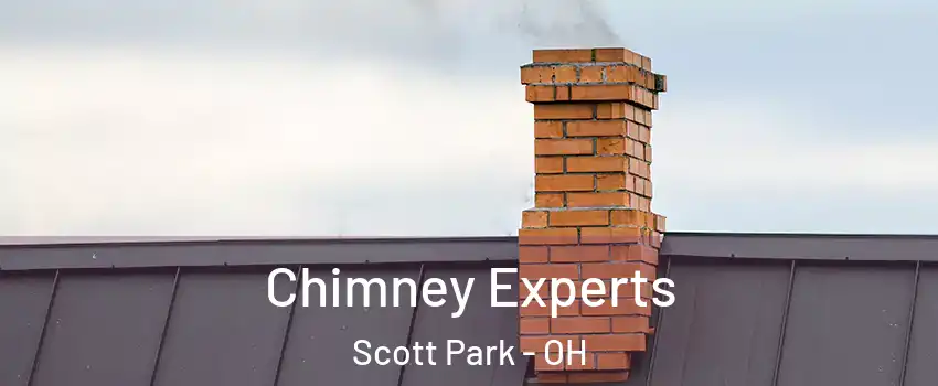Chimney Experts Scott Park - OH