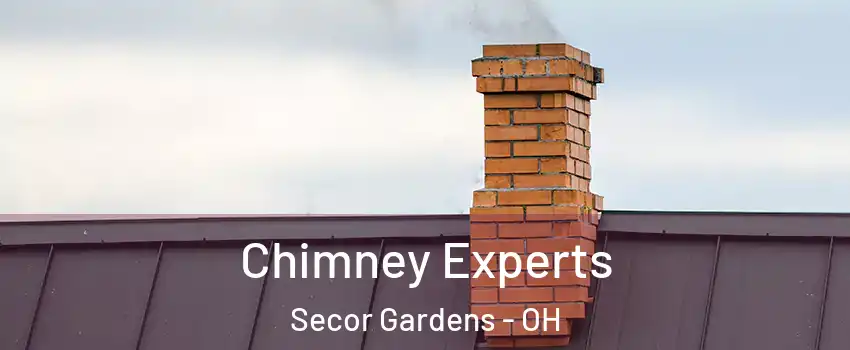 Chimney Experts Secor Gardens - OH