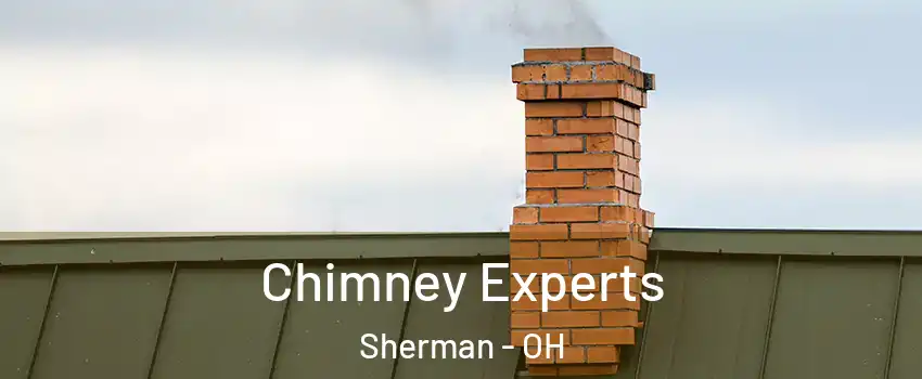 Chimney Experts Sherman - OH