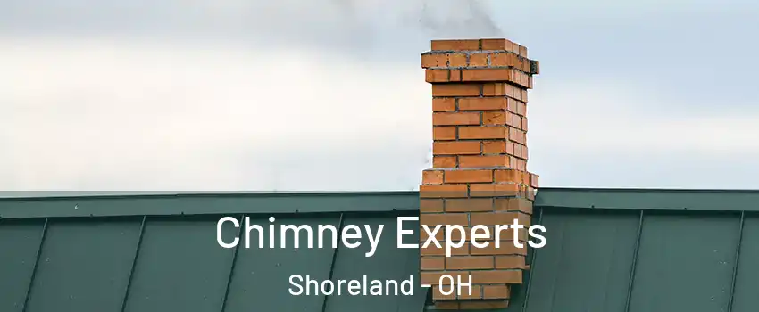 Chimney Experts Shoreland - OH