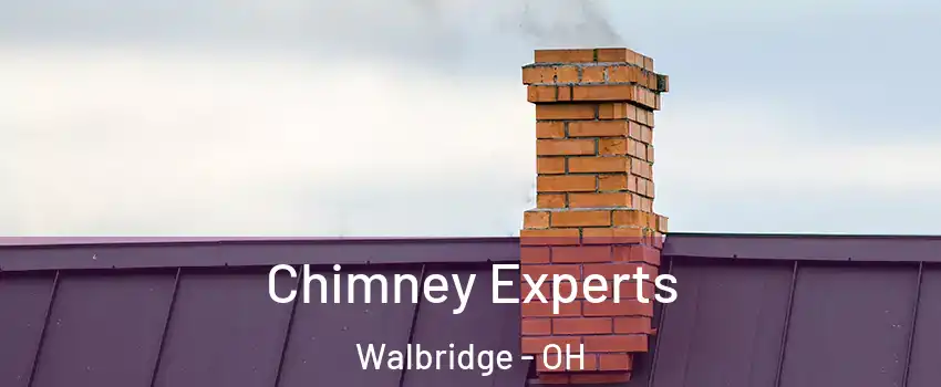 Chimney Experts Walbridge - OH