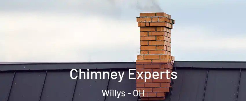 Chimney Experts Willys - OH