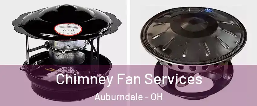 Chimney Fan Services Auburndale - OH