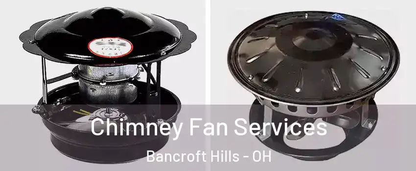 Chimney Fan Services Bancroft Hills - OH
