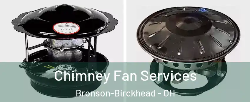 Chimney Fan Services Bronson-Birckhead - OH
