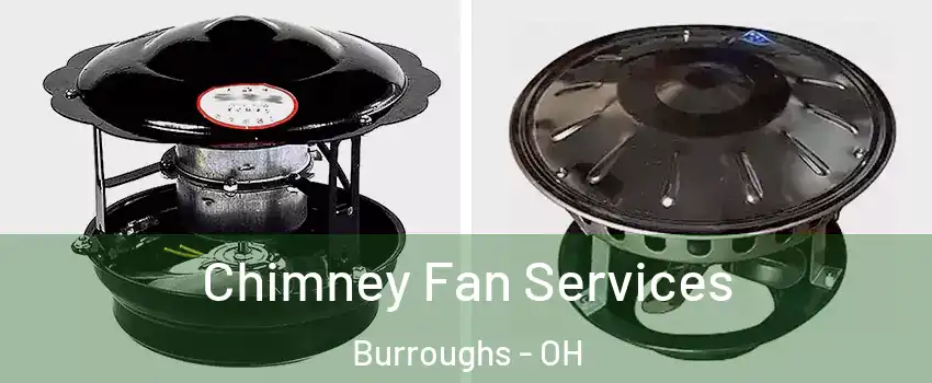 Chimney Fan Services Burroughs - OH