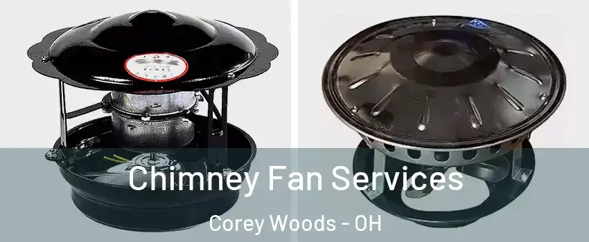 Chimney Fan Services Corey Woods - OH