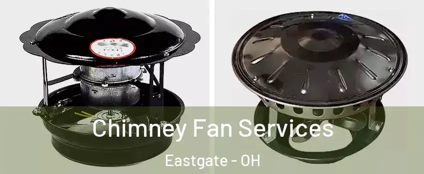 Chimney Fan Services Eastgate - OH