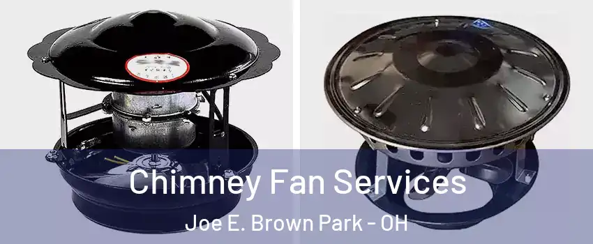 Chimney Fan Services Joe E. Brown Park - OH