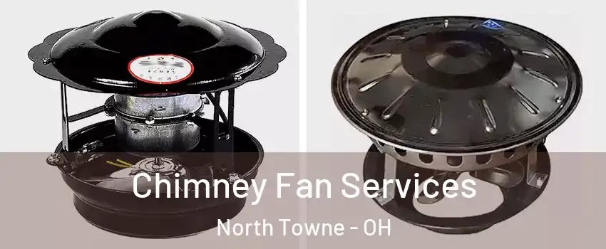 Chimney Fan Services North Towne - OH
