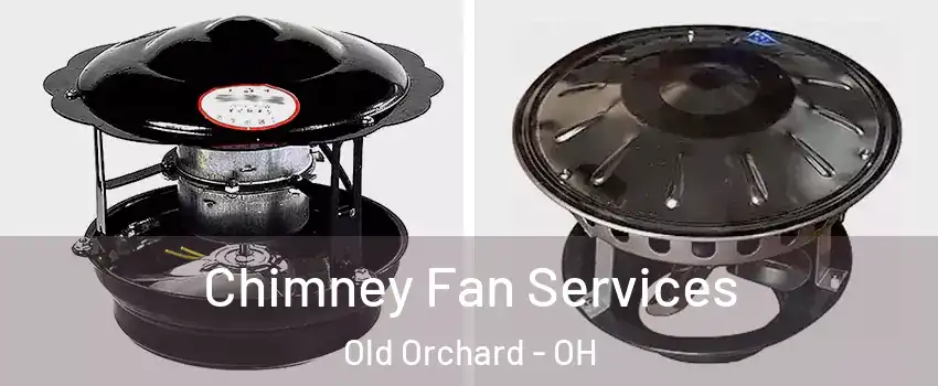 Chimney Fan Services Old Orchard - OH